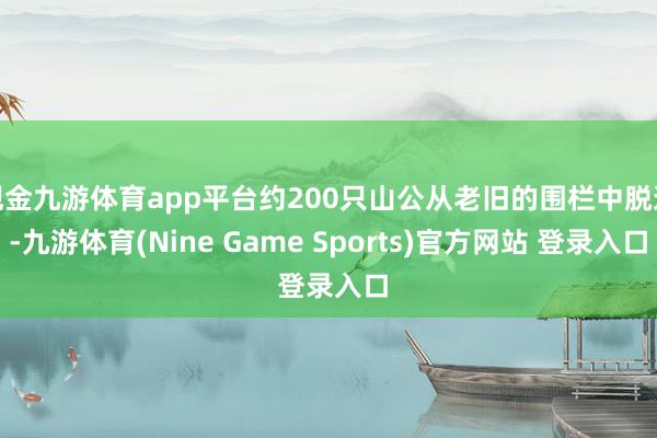 现金九游体育app平台约200只山公从老旧的围栏中脱逃-九游体育(Nine Game Sports)官方网站 登录入口