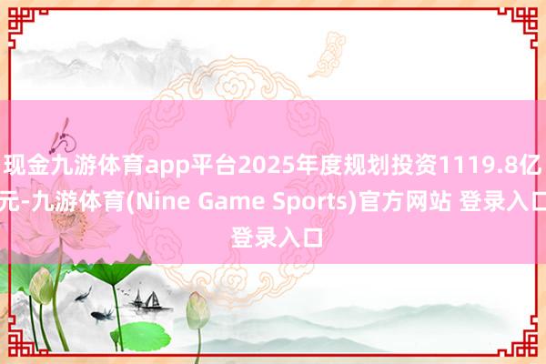 现金九游体育app平台2025年度规划投资1119.8亿元-九游体育(Nine Game Sports)官方网站 登录入口